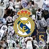 starye23