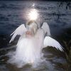 fairy_fyw