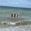 sumner.russellx