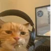 mrorangeoffical