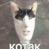 jilpaaaaaw_bs
