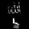 ahmed.el.halidi0
