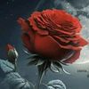 user7581944502462