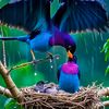 shihab.uddin440