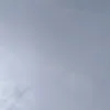 lilgeelilgee491