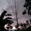 kepojuga26