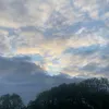 faith.flixs101