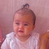 bahri.cell36