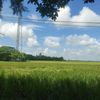 khaingzinaung...1