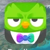 am_noob00