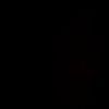 gene.garcia78