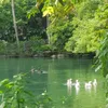 thanh.thuy1711