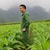 mi.xiao34