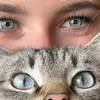 EL