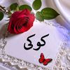 user1716827505940