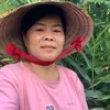 Nguyễn thị tám