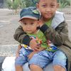 nazal887