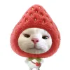 meo_yeu_oi5