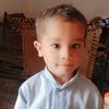 shan10533