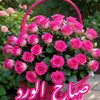 user5581793731828