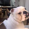 kotruwyolrn
