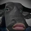 ngi.dng398