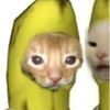 0tadeo_pro0