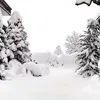 wwwmalika.com147