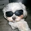 naoldarwinjay