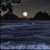 fahad.fahad4448