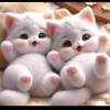 mohammed.noman244