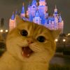theonlinesyaaa