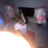 user4717803975263