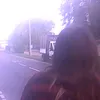 solar_frog