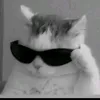 miguelfvllhs