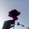 angle.sultana07