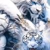 insan_kamil97