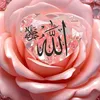 user79329212580163