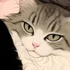 masha_dt07