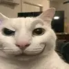 justforpeanut34