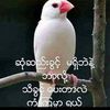 u.lay.gyi358995882