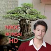 ngoc.bonsai.hd