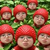 reffabalqis