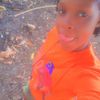 shama73412