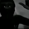 eovit0