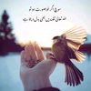 momin_0020