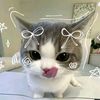 calist_25