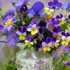 georgievna83