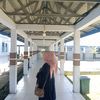 pazli.isda