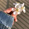 zaharah_alrabie